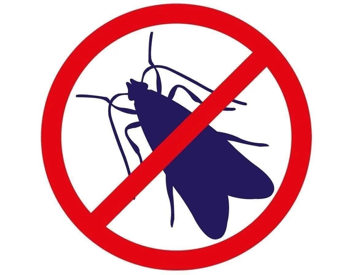 SuperGift.com Moth Protection, Solution for Common Clothes Moth/Webbing Moth