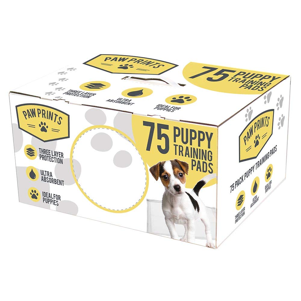 Kingfisher 75 PACK PUPPY TRAINING PADS, transparent