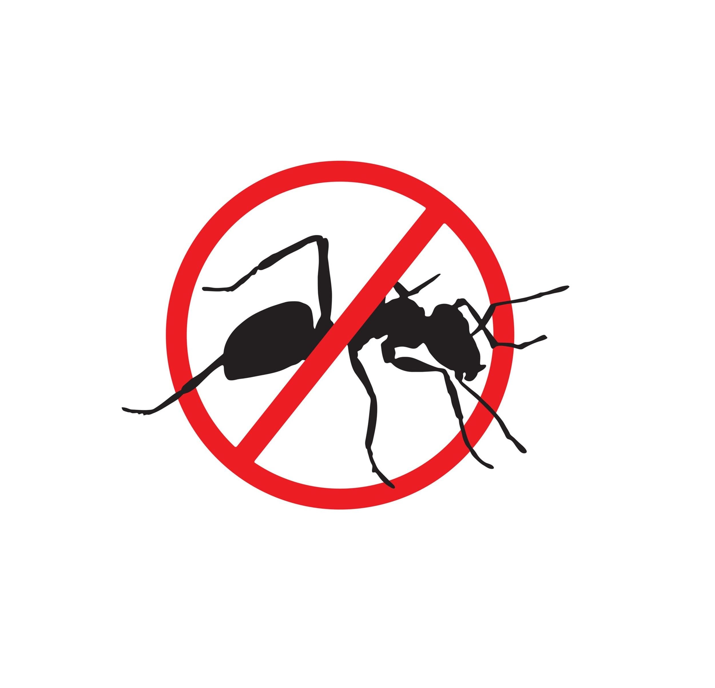 3 x Ant Killer Powder Wasp Nest Crawling & Flying Insect Pest Control Killer For Indoor & Outdoor Use 150g