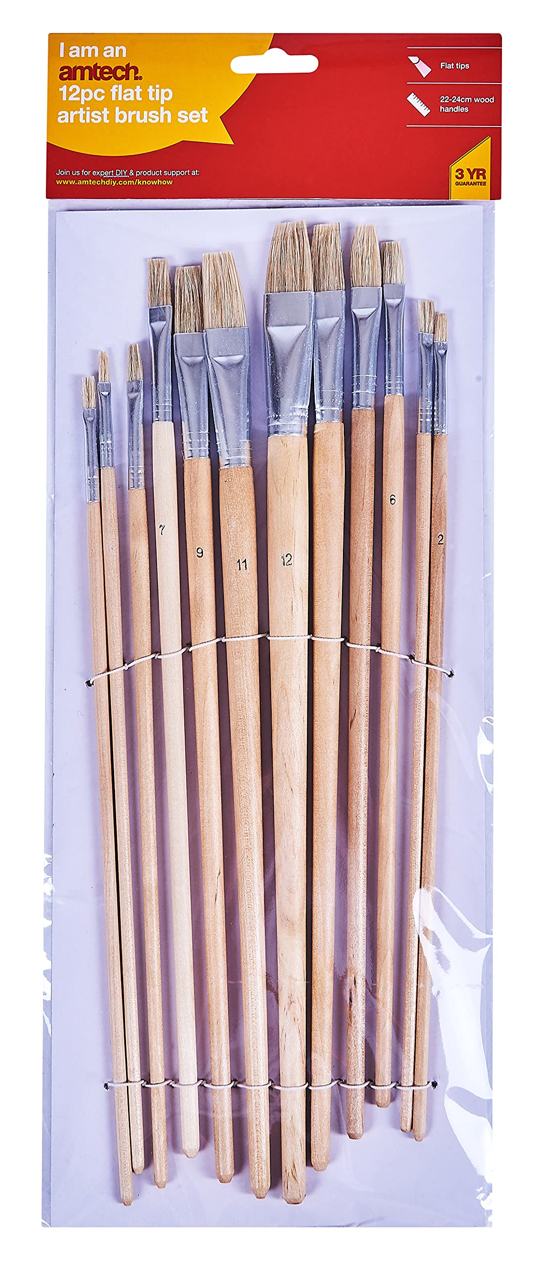 Amtech S4145 12 Piece flat tip art brush set