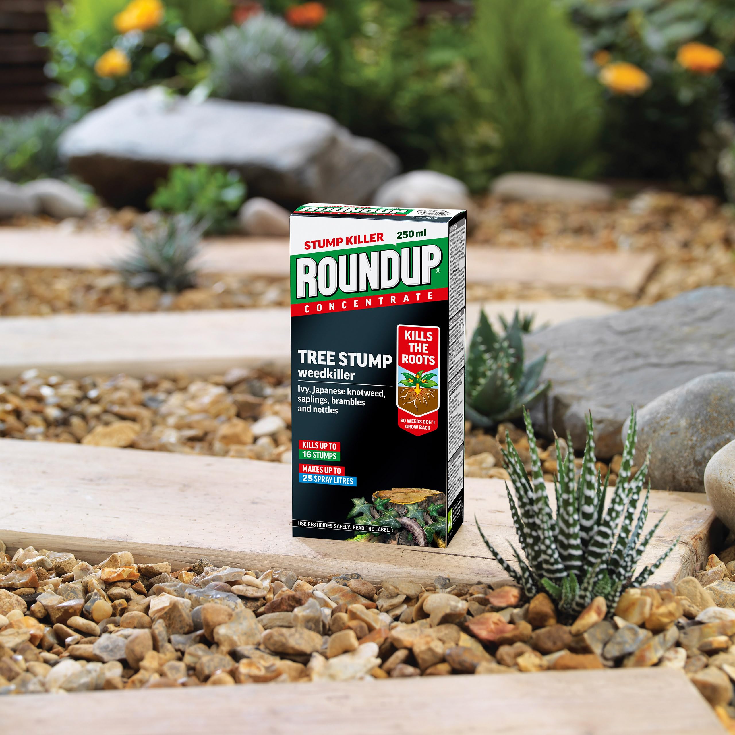 Roundup Tree Stump Weedkiller, Super Concentrate 250 ml