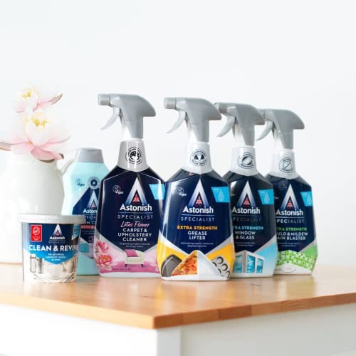 Astonish Specialist Leather Conditioning Cream, Cleans and Nourishes, for Restoring Leather Goods, 250ml - Bargain Genie