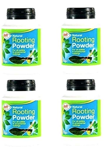 4 X Doff 75g Natural Hormone Rooting Powder - Bargain Genie
