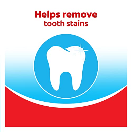 Colgate Extra Clean Full Head Toothbrush, Medium - 6 Count - Bargain Genie