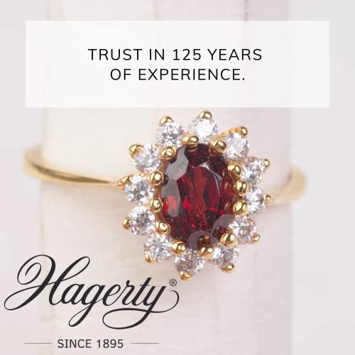 Hagerty A101151 170 ml Jewel Clean - Black - Bargain Genie