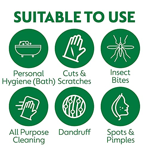 DETTOL CLEANING_AGENT - Bargain Genie