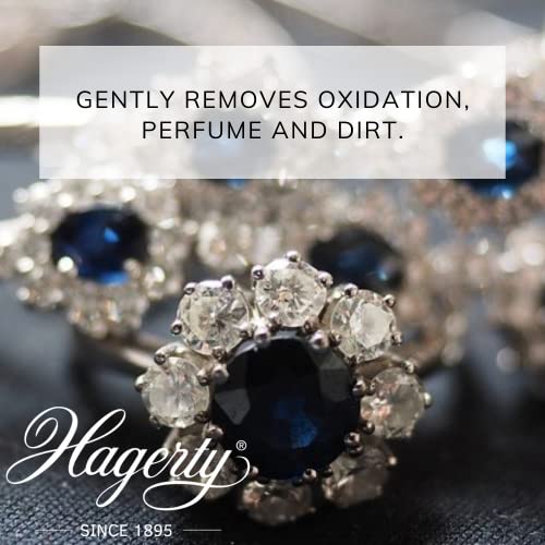 Hagerty A101151 170 ml Jewel Clean - Black - Bargain Genie