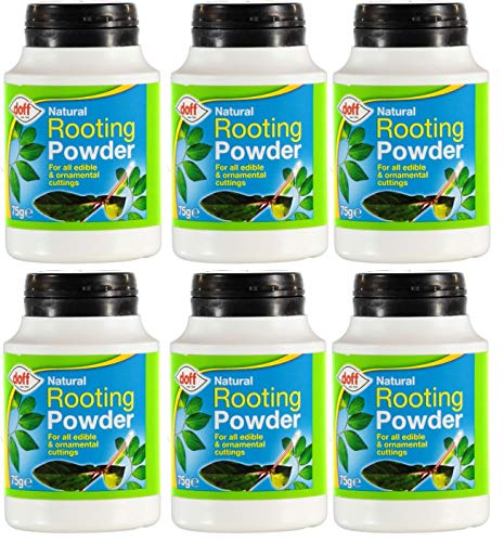 6 X Doff 75g Natural Hormone Rooting Powder - Bargain Genie