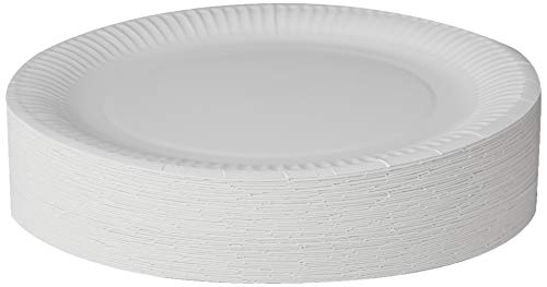 Paper Plates 23cm - Pack of 100 9inch Paper Plates, Disposable Plates, Party Plates