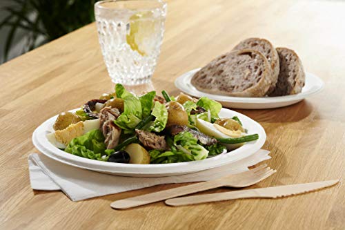 Paper Plates 23cm - Pack of 100 9inch Paper Plates, Disposable Plates, Party Plates