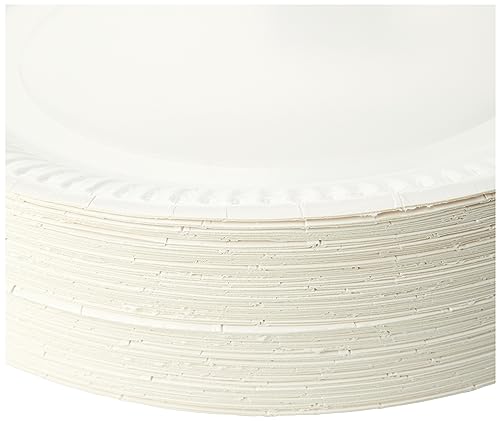 Paper Plates 23cm - Pack of 100 9inch Paper Plates, Disposable Plates, Party Plates