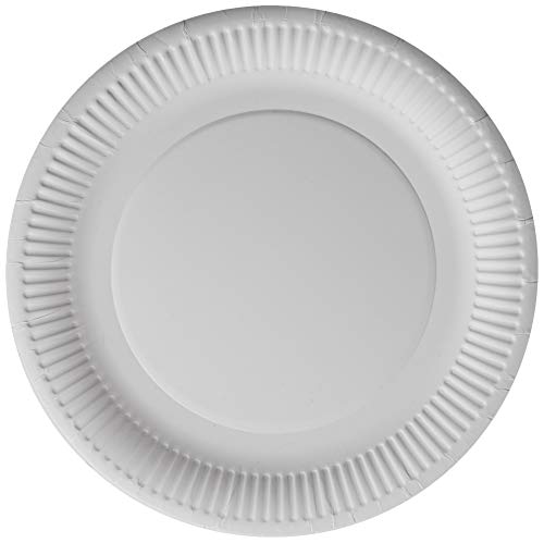 Paper Plates 23cm - Pack of 100 9inch Paper Plates, Disposable Plates, Party Plates