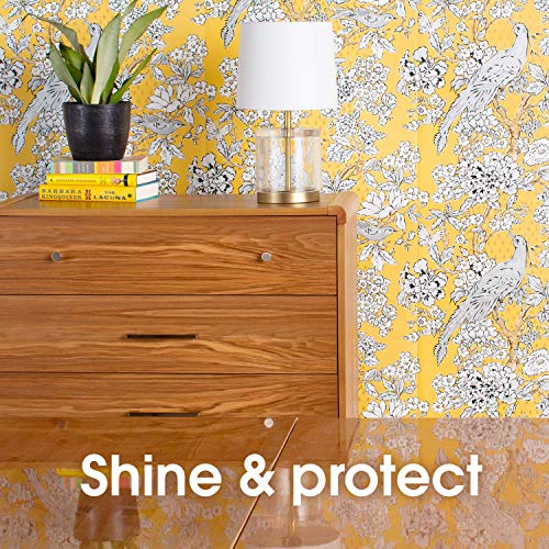 Pledge Expert Care Wood Polish Aerosol Classic 250 ml (Pack of 12)