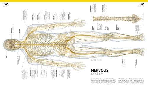 The Complete Human Body - Bargain Genie