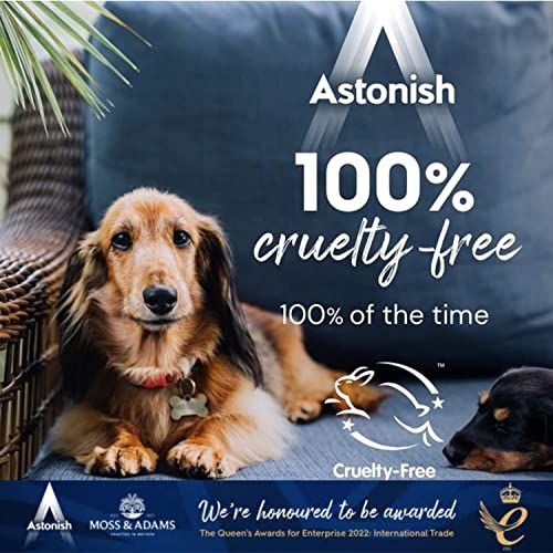ASTONISH OVEN AND COOKWARE CLEANER 17.6 OZ. - AS SEEN ON TV!