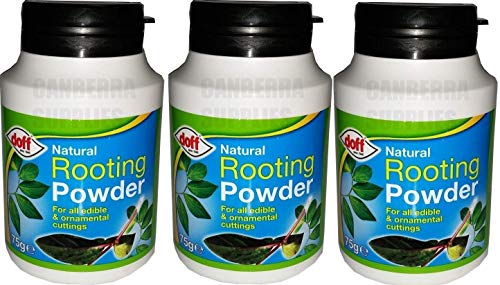 Doff Pack of 3 Natural Rooting Powder for Plant and Cuttings 75grams - Bargain Genie