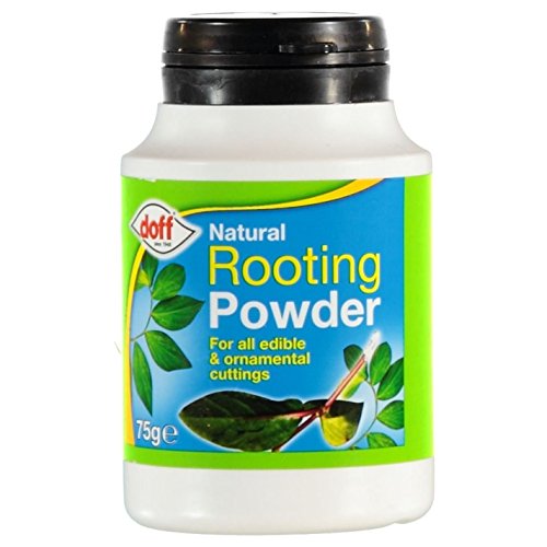 2 x Doff® Hormone Rooting Powder 75g - Help New Roots On Cuttings and Promotes Strong Healthy Roots - Bargain Genie