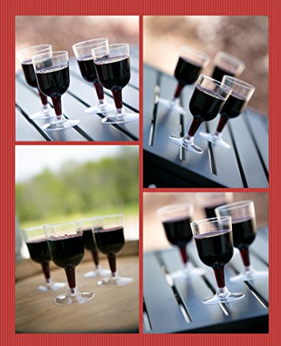 Party Essentials Hard Plastic Two Piece 5.5-Ounce Wine Glasses - Bargain Genie