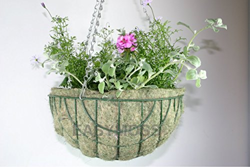 Easymoss 16" Hanging Basket Liner Pack of 10 - Bargain Genie